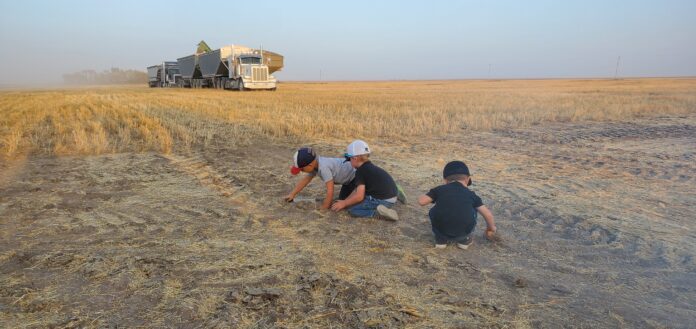 Sustainable Agriculture Thrives When Farmers are Free to Choose How to Farm