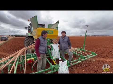 Sowing days 2023. Camelina