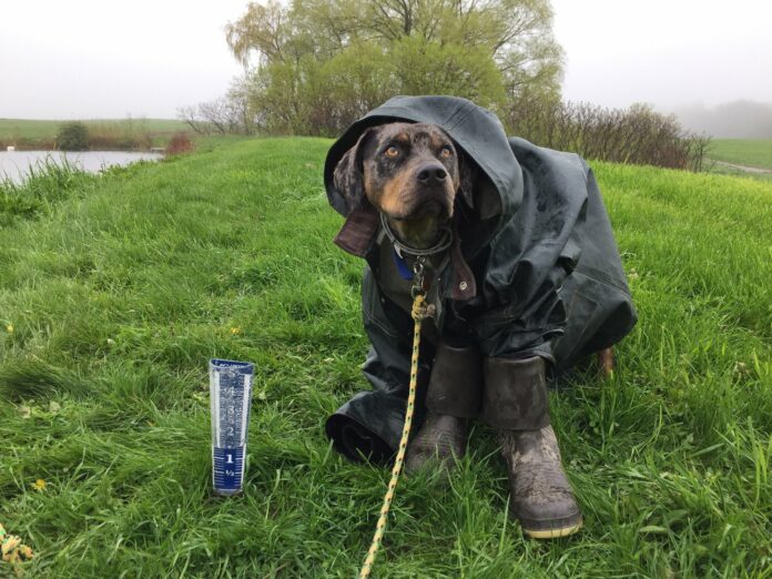 Weather Roulette (the annual weather complaint blog in which your trusty farmer gets a bit Debbie Downer!) — Hartwood Farm