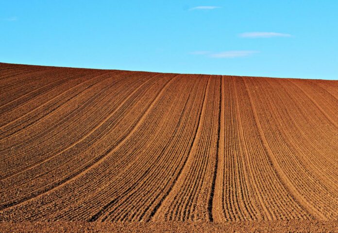 The Vital Role of 100% Ground Cover in Regenerative Farming