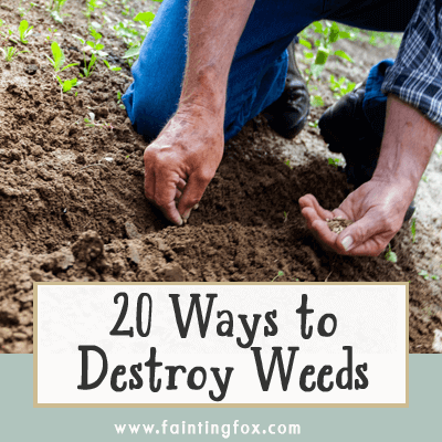 20 Ways to DESTROY Weeds in Your Garden