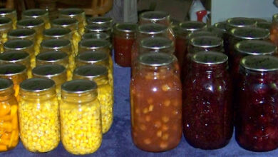 Hickery Holler Farm: Cleaning Out The Freezer