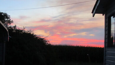 I Said a Prayer of Thanks —- Sunday, August 24, 2025