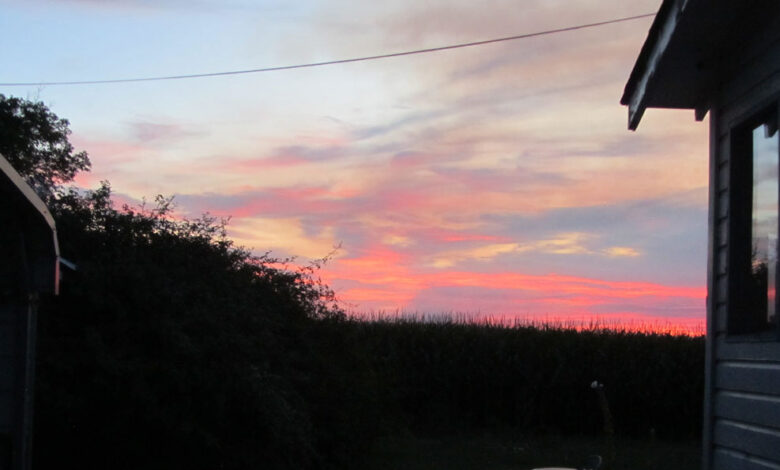 I Said a Prayer of Thanks —- Sunday, August 24, 2025