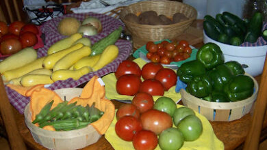 Hickery Holler Farm: Still Here!