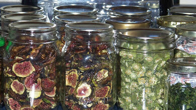 Hickery Holler Farm: Fall Projects Hickery Holler Farm: Fall Projects