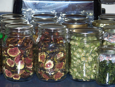 Hickery Holler Farm: Fall Projects