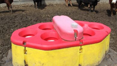 Financial metrics can lead to different dairy decisions