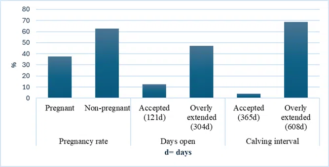 A Cost-effective Tool In Extensive Beef Production