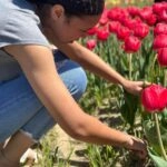 ‘Flowertainment’ Brings Flowers and Farm Fun Together