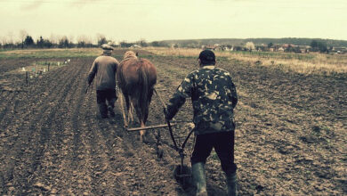 Does farming affect the environment