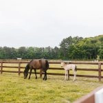 A Centuries-Old Farm Marries Love and Agriculture