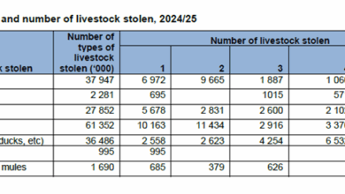 61 000 Goats, 37 000 Cattle Stolen In Livestock Crime Surge, Reveals Stats SA