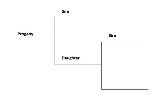 Linebreeding And Inbreeding: What Is The Difference?