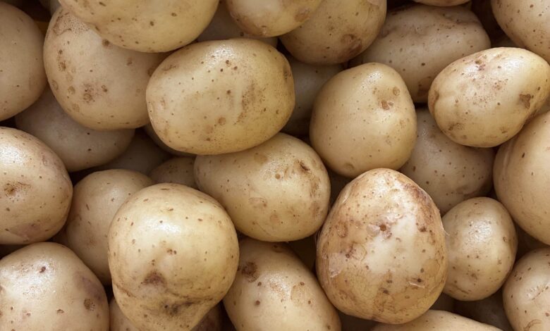 News from the Farm | July 7, 2025