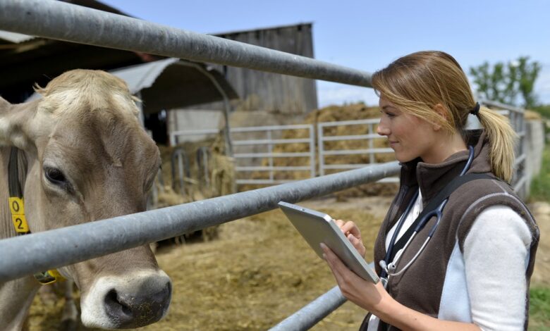 Salmonella Strains Infecting Cattle and Humans in U.S. are Similar
