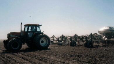 A Story of the Death of Tillage