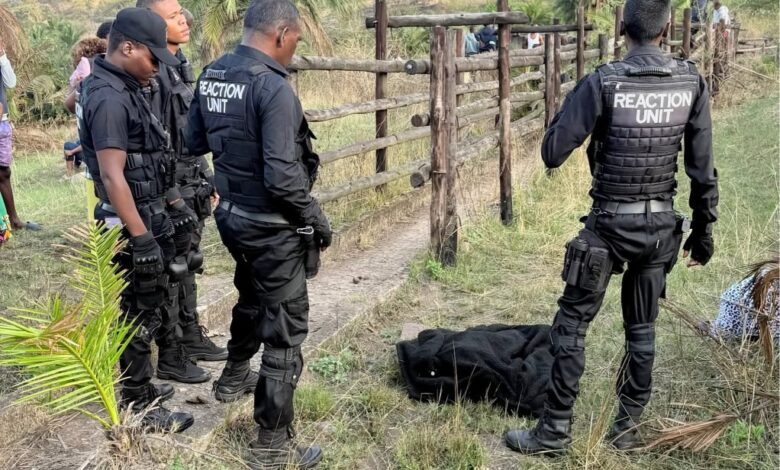 Drowning In Cattle Dip Pit Sparks Call For A Safer Alternative