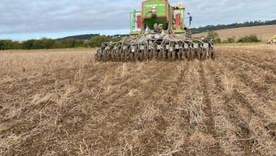 39) farmingGeorge’s Fobbing Farm Update: Pregnancy Detecting