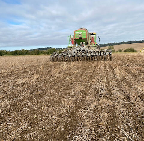 39) farmingGeorge’s Fobbing Farm Update: Pregnancy Detecting