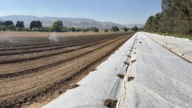 News from the Farm | August 25, 2025