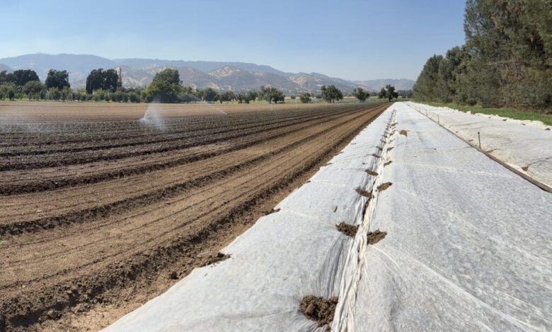 News from the Farm | August 25, 2025