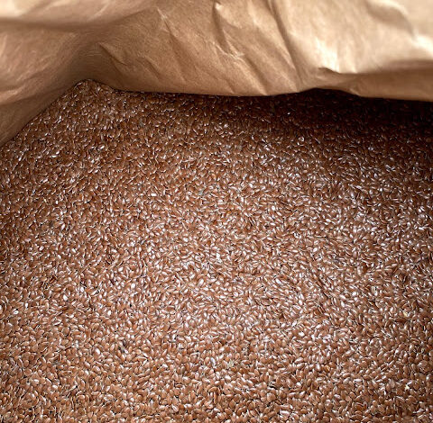 32) farmingGeorge’s Fobbing Farm Update: Dung beetles!