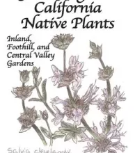 Agata and the Mice by Peyton Ellas – The Milk House