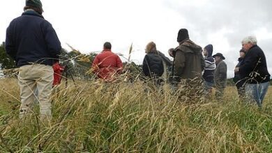 A Blueprint for Cooling our Blue Planet