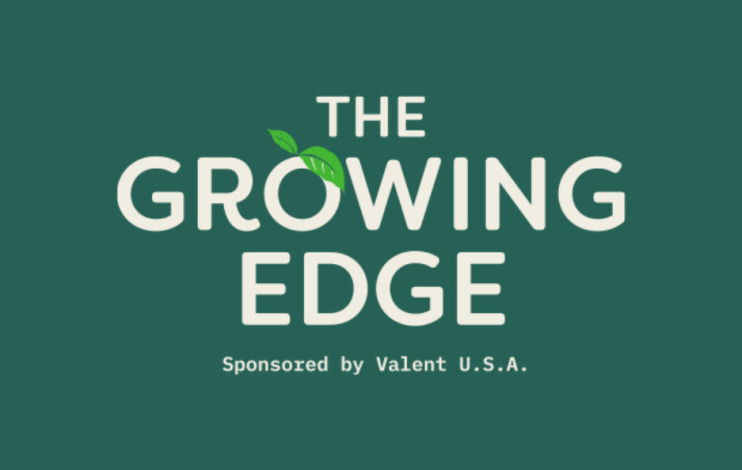 Walnuts on the Rise: How to Defend a Promising Crop Walnuts on the Rise: How to Defend a Promising Crop