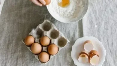 How to Incubate Turkey Eggs