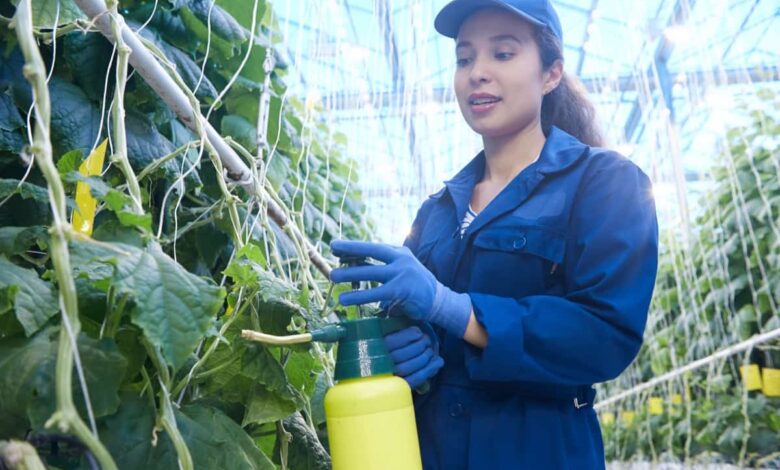 How to Make Homemade Pesticides: 15 DIY Natural and Organic Recipes for Garden Plants