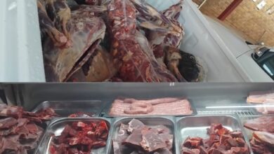 Meat Safety Raids Expose Stolen Stock In Limpopo