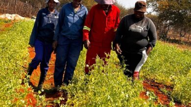Tsholo Maimane: Planting Courage, Growing Opportunity