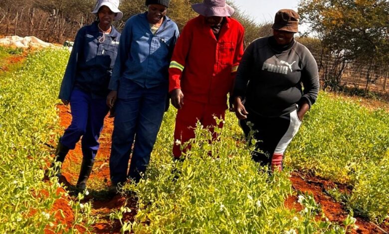 Tsholo Maimane: Planting Courage, Growing Opportunity