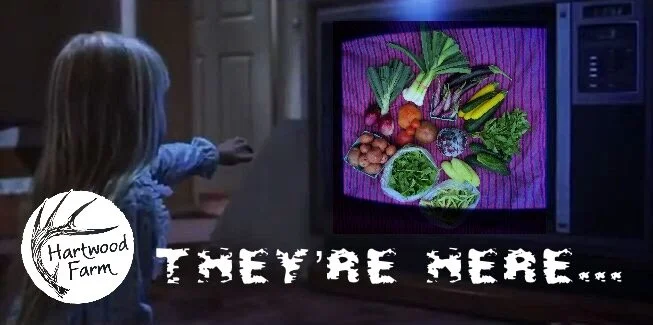 Technology is Hard (and other Hartwood Farm curses)… — Hartwood Farm