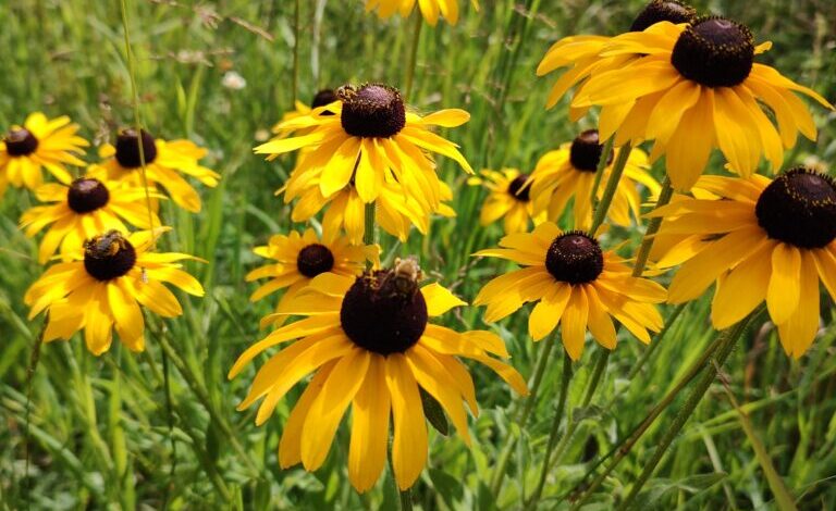 It’s A Risky, Blessed Business It’s A Risky, Blessed Business