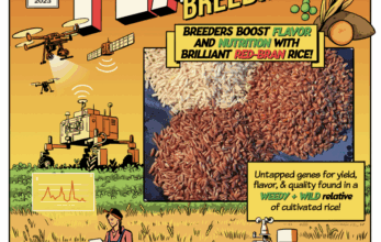 GRIN-U tackles breeding