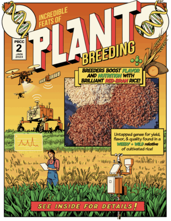 GRIN-U tackles breeding