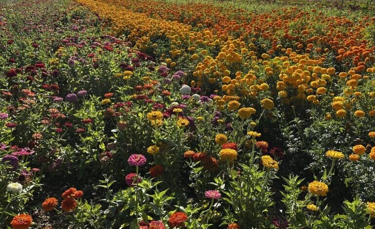 News from the Farm | July 14, 2025