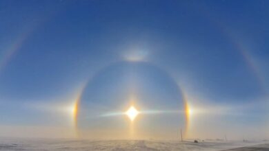 Why Does it Feel Like We’re Living in a Crisis?