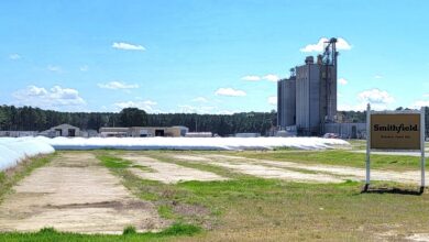 Smithfield Fresh Meats Sued Over Pregnant Worker’s Firing