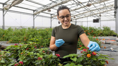 UF/IFAS research protects pollinators from harmful pesticide exposures – Urban Ag News