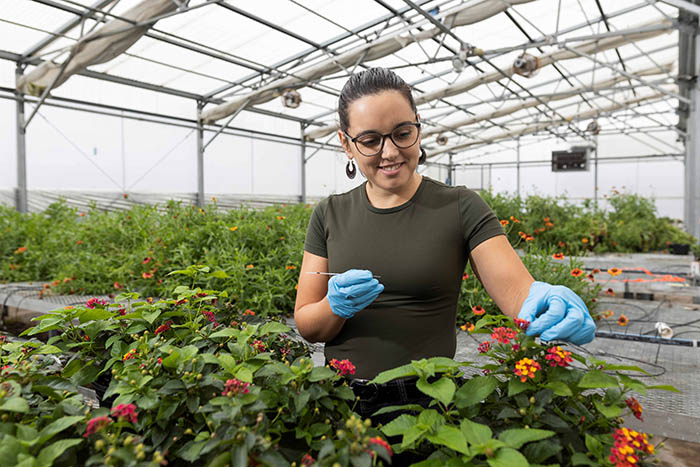 UF/IFAS research protects pollinators from harmful pesticide exposures – Urban Ag News