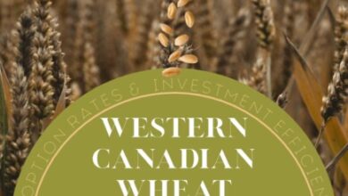 Adoption Rates And Investment Efficiency Of Western Canadian Wheat Varieties