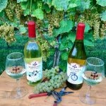 Family-Run Winery Toasts to Its Deep Ag Roots