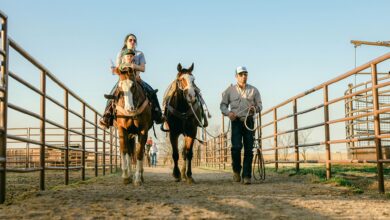 Family-Owned Farms Account for 95% of U.S. Farms