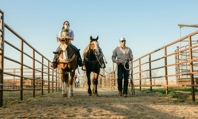 Family-Owned Farms Account for 95% of U.S. Farms