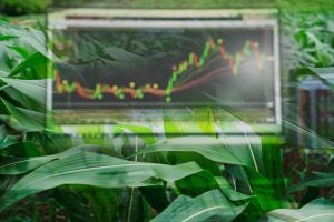 Markets in Minutes: Top Third looks ahead for week of Aug. 25, 2025 Markets in Minutes: Top Third looks ahead for week of Aug. 25, 2025