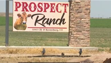 OSHA Investigating 6 Deaths at Colorado Dairy Farm